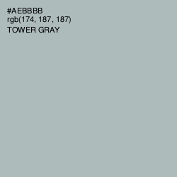 #AEBBBB - Tower Gray Color Image